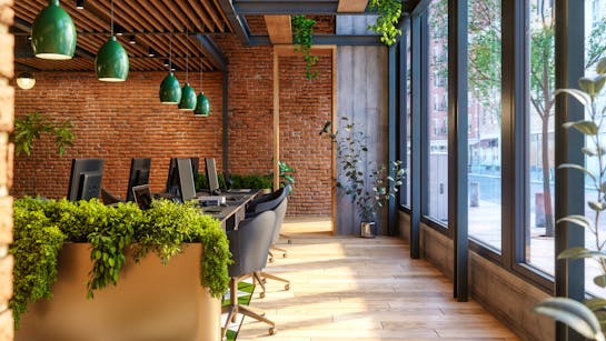 Büropflanzen Büropflanzen