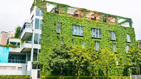 Fassadenbegrünung Fassadenbegrünung