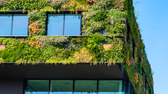 Fassadenbegrünung Fassadenbegrünung
