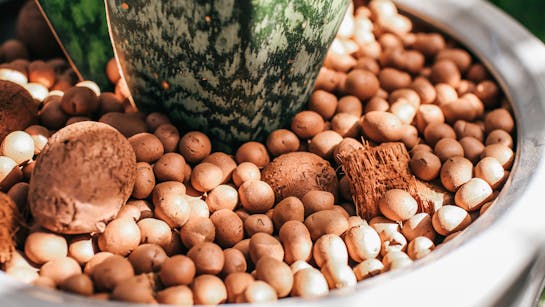 Hydrokultur Hydrokultur