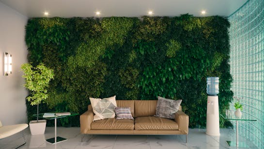Pflanzenwand Pflanzenwand