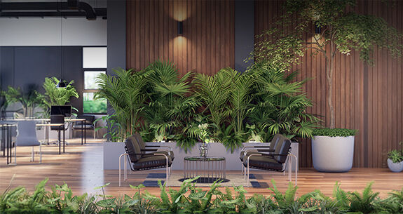 Büropflanzen 2025: Jetzt die besten Angebote sichern! Büropflanzen 2025: Jetzt die besten Angebote sichern!